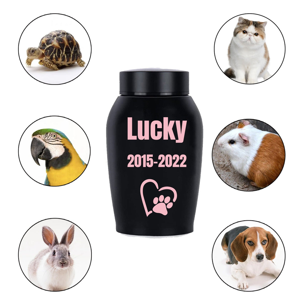 Personalized Pet Urn for Ashes – Stainless Steel Dog & Cat Cremation Urn with Thread-Top Design, Custom Memorial Keepsake for Beloved Pets