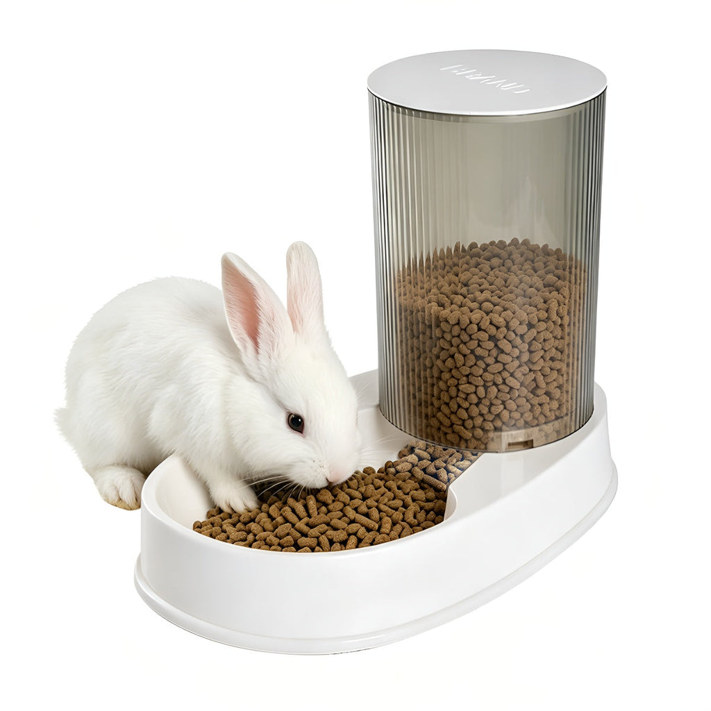 Automatic Pet Feeder for Cats & Dogs - Large Capacity Gravity Food Dispenser with Timed Scheduling, Auto Dog Cat Food Bowl Station for Busy Pet Owners, Indoor Household Pet Feeding Solution