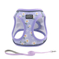 No-Pull Dog Harness and Leash Set for Small to Medium Dogs - Soft Mesh Reflective Adjustable Puppy Vest Harness for Walking Running and Training, Escape-Proof Pet Harness