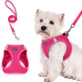 Walk-In Dog Harness and Leash Set for Small Dogs & Puppies - Breathable Mesh Reflective Soft Lightweight Pet Vest Harness, All-Weather No-Pull Dog Harness for Daily Walks & Outdoor Adventures