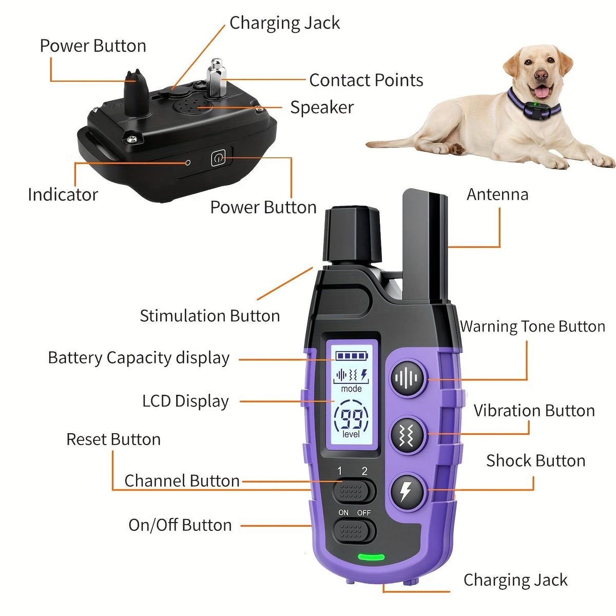 Dog Training Collar with Remote – 4150ft Range, Shock Vibration & Beep Modes, Rechargeable E-Collar for Small to Large Dogs 5-150lbs, 1 Dog & 2 Dog Options, Purple