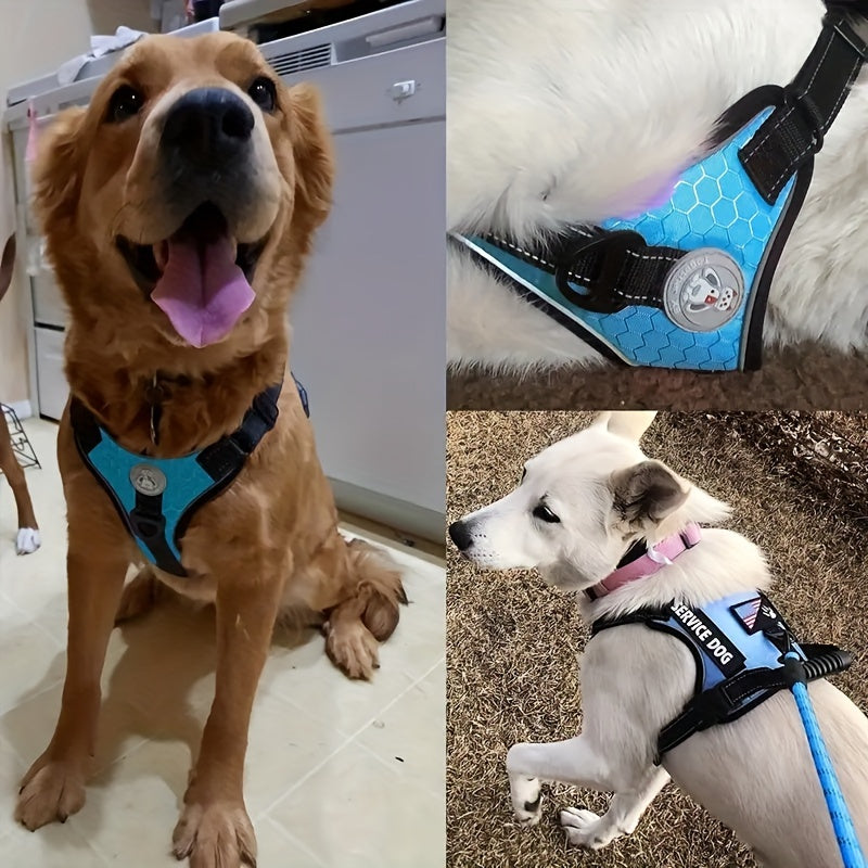 Reflective Dog Harness Vest with Leash Shock-Absorbing No-Pull Pet Harness with Night Vision Reflective Strips Comfortable Vest Style for Small Medium Large Dogs